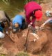 Encuentran restos fósiles de un perezoso gigante cerca de Libertador San Martín