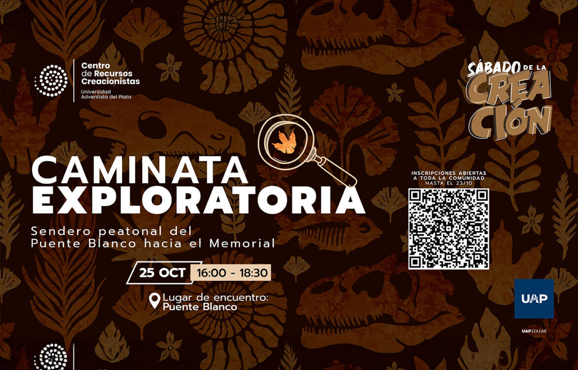 Explorar, aprender y celebrar la creación