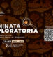 Explorar, aprender y celebrar la creación