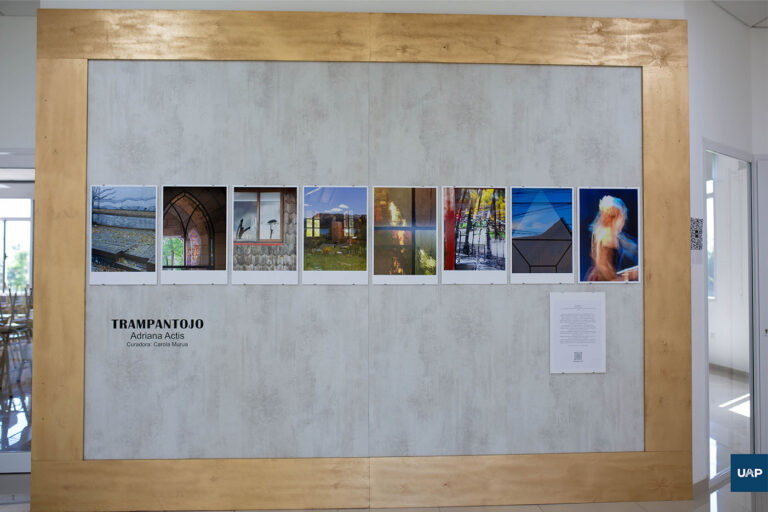 “Trampantojo” un susurro visual