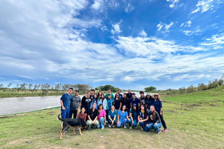 Yása: Cuidar, salvar y sanar